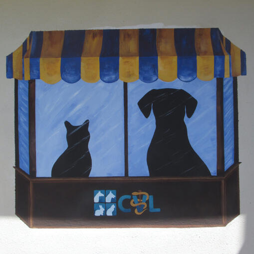 Mural at Clinica Veterinaria de Lajas