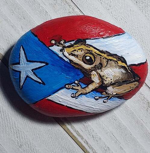 "Coqui", Acrylic on rock