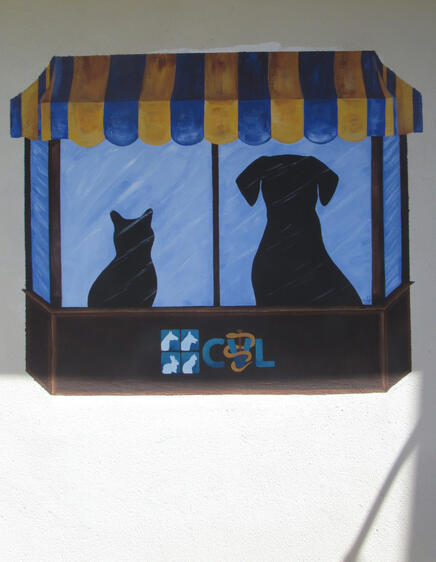 Mural at Clinica Veterinaria de Lajas