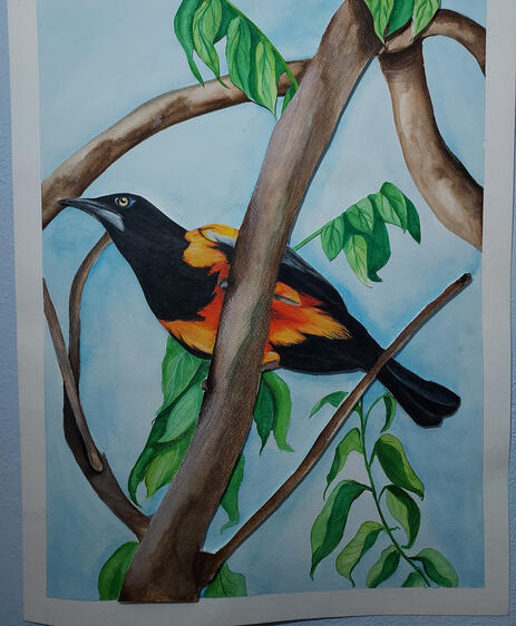 "Venezuelan Turpial", 18"x24", Mixed-Media